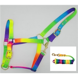 Colours of the Rainbow Head Collar and Lead Rope Set